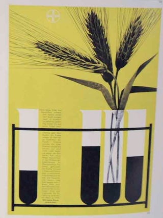 Graphis 113