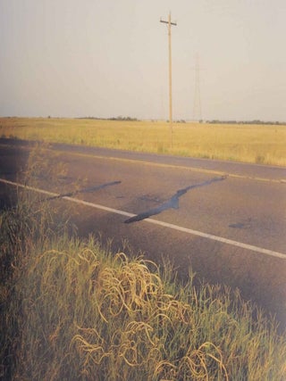 On This Site: Landscape in Memoriam (Signed First Edition)
