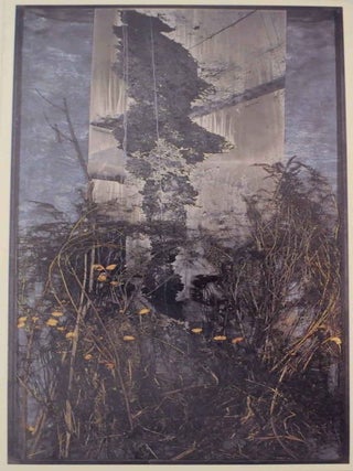 Anselm Kiefer: Bruch und Einung
