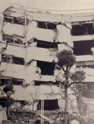 Kobe 1995: The Earthquake Revisited