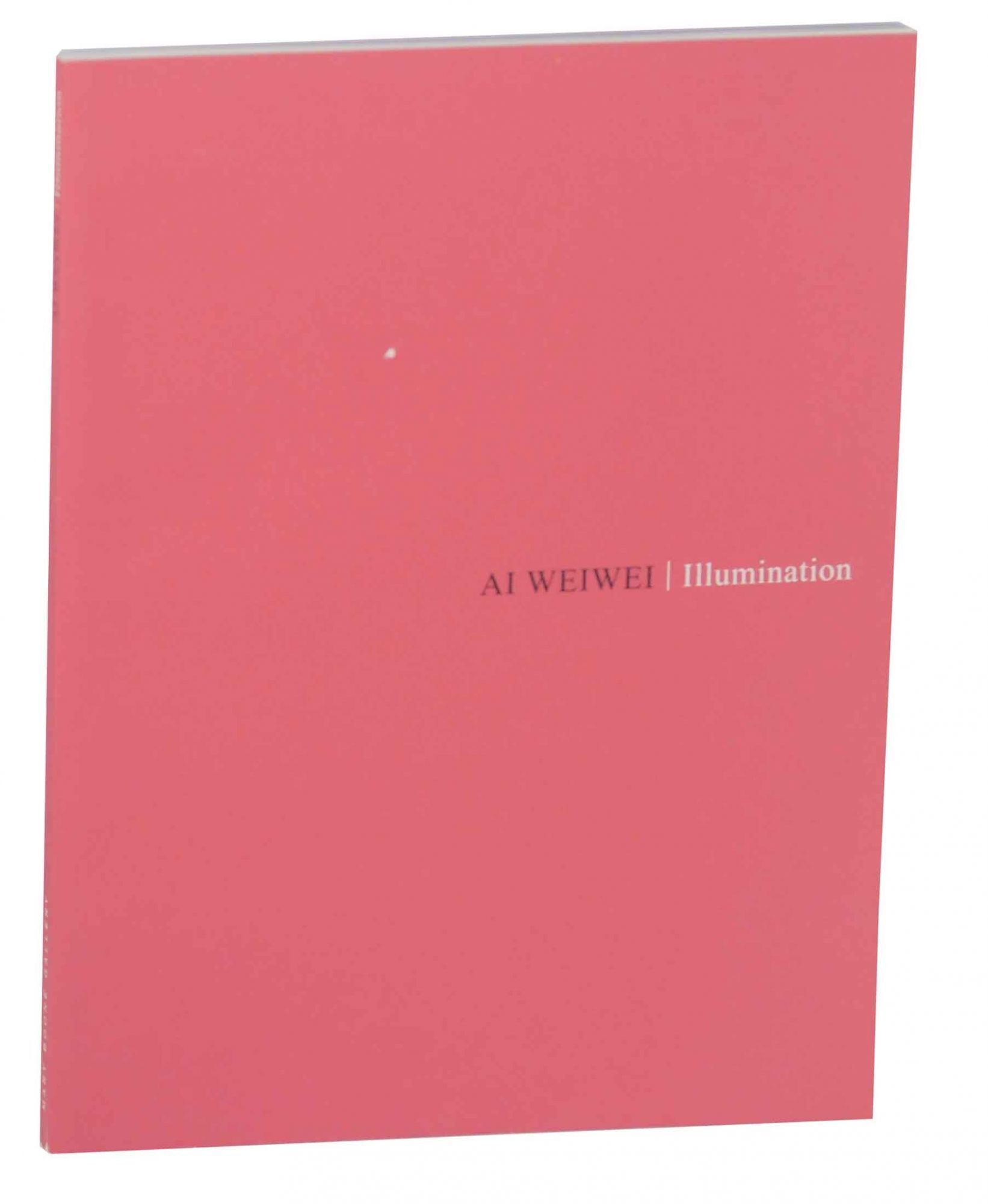 Ai Weiwei Illumination Ai WEIWEI, Karen Smith