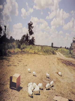 William Eggleston's Guide
