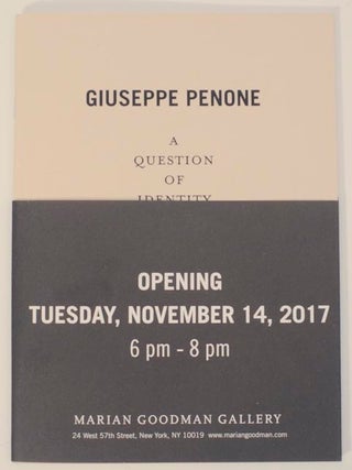 Item #158688 Giuseppe Penone: A Question of Identity. Giuseppe PENONE, Jeol Chevrier, Guy...