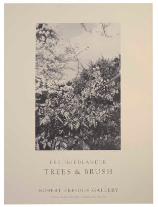 Item #165986 Trees & Brush. Lee FRIEDLANDER