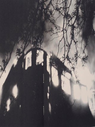Firefighters (Signed First Edition)