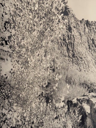 Recent Western Landscapes 2008-09