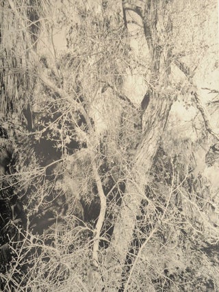 Recent Western Landscapes 2008-09