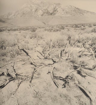 Recent Western Landscapes 2008-09