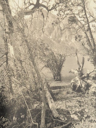 Recent Western Landscapes 2008-09