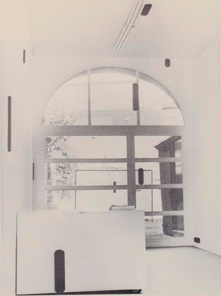 Rooms Installations by Richard Artschwager Cynthia Carlson, Richard Haas