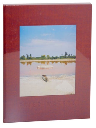 Item #171923 Fried Waters. Eduardo DEL VALLE, Mirta Gomez