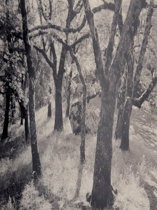 The American Wilderness