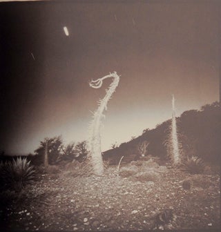 Richard Misrach (Signed First Edition)