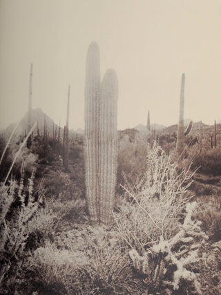 Richard Misrach (Signed First Edition)