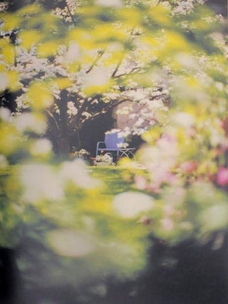 Between Maple and Chestnut (Signed Limited Edition)
