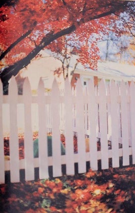 Between Maple and Chestnut (Signed Limited Edition)