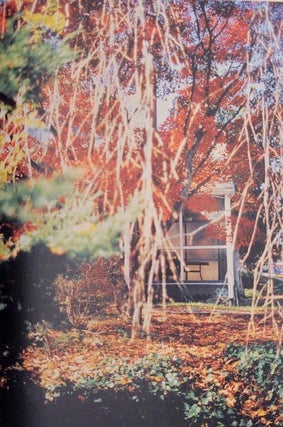 Between Maple and Chestnut (Signed Limited Edition)