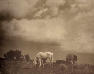 A Retrospective Monograph: The Years 1915-1968
