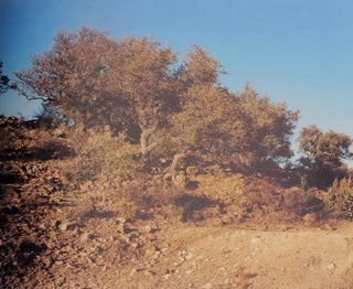 Stephen Shore: Photographs 1973 - 1993