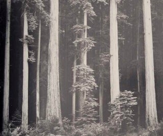 Ansel Adams (Signed)
