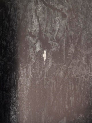 Paul Caponigro (Signed First Edition)