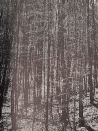 Paul Caponigro (Signed First Edition)