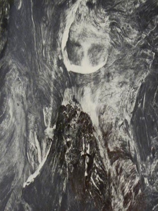 The Photograph as Symbol (Signed Limited Edition)