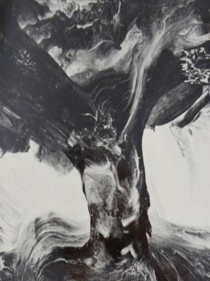 The Photograph as Symbol (Signed Limited Edition)