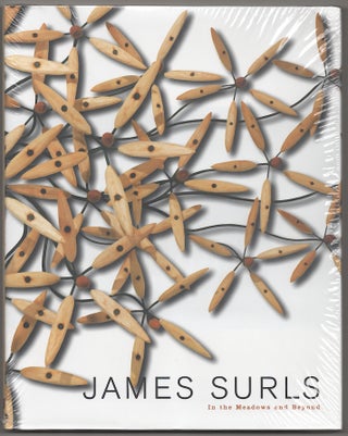 Item #181098 James Surls: In The Meados And Beyond. James SURLS, Mark A. Roglan, Mark...