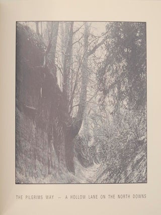 Skyline Ridge