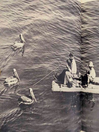 Yankee Nomad: A Photographic Odyssey