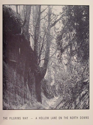 Skyline Ridge