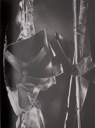 Transmutation: Photographic Works by Carl Chiarenza (Signed First Edition)