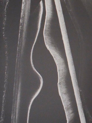 Transmutation: Photographic Works by Carl Chiarenza (Signed First Edition)