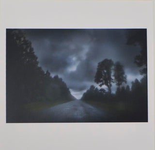 Item #186838 Untitled #11342-0103, 2013 (Signed Photograph). Todd HIDO