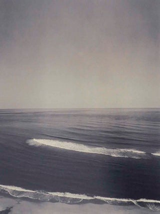 Water's Edge