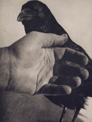 Jim Dine: Birds (Signed First Edition)