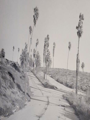 Henry Wessel (Signed First Edition)