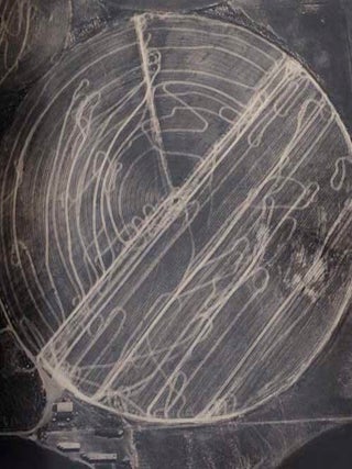 Emmet Gowin: Changing the Earth, Aerial Photographs (Signed First Edition)