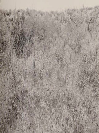 John Szarkowski: Photographs (Signed First Edition)