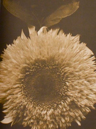 Steichen The Photographer (Signed Limited Edition)