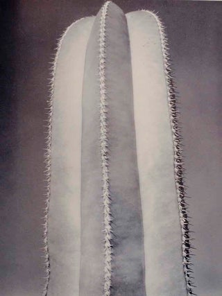 Brett Weston: Photographs (Signed First Edition)