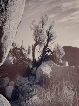 Brett Weston: Photographs (Signed First Edition)