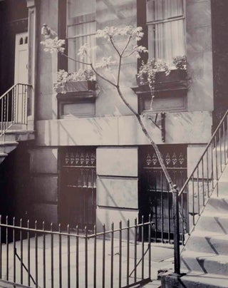 Brett Weston: Photographs (Signed First Edition)