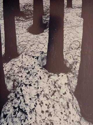 Brett Weston: Photographs (Signed First Edition)