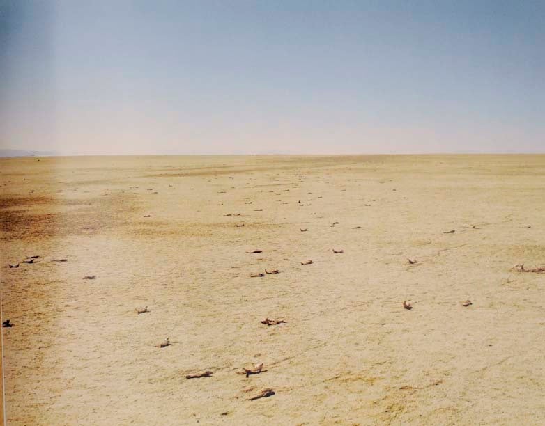 Crimes and Splendors: The Desert Cantos of Richard Misrach
