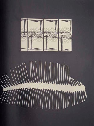 Barbara Crane: Photographs 1948-1980 (Signed First Edition)