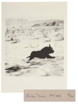 Isolated Houses & Dogs Chasing My Car in the Desert (Signed Limited Edition)