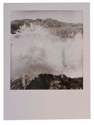 Item #199204 Lee Friedlander: Western Landscapes (Brochure/Poster). Lee FRIEDLANDER