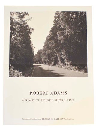 Robert Adams: A Road Through Shore Pine